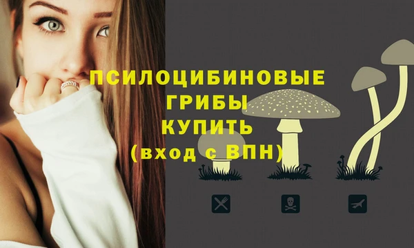 не бодяженный Богданович