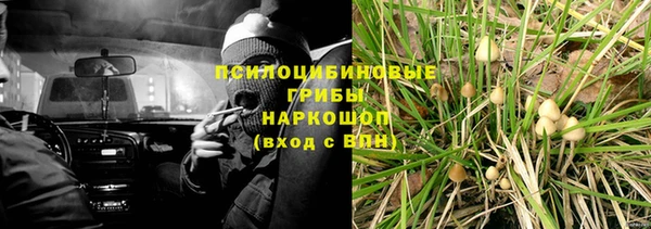COCAINE Богородицк