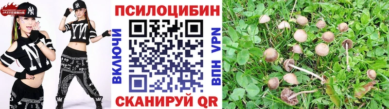 Псилоцибиновые грибы MAGIC MUSHROOMS  Новосокольники 